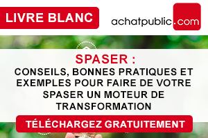 [Livre blanc] SPASER : Conseils, bonnes pratiques et exemples pour faire de votre SPASER un moteur de transformation  