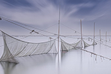 image-5-(web)-Oct-17-2024-10-13-31-1935-AM